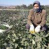Ev hanımıydı, kendi işinin patronu oldu Ev hanımıydı, kendi işinin patronu oldu