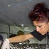 Mantarcılık sektör bu öğrencileri bekliyor