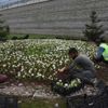 Park bakımına para var, vatandaşa yok Park bakımına para var, vatandaşa yok