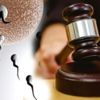 Biyolojik babaya mahkemeden şoke eden yanıt Biyolojik babaya mahkemeden şoke eden yanıt