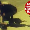 Kültür Özgürlüktür.