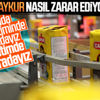 ÇAYKUR üst üste zarar açıklıyor