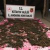 Evin çatısında 4 kilo esrar kuruturken yakalandılar Evin çatısında 4 kilo esrar kuruturken yakalandılar