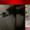 Samsun Baro Başkanı Pınar Gürsel Yıldıran: Onun sesi olacağız
