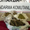 Diyarbakır'da uyuşturucu operasyonu Diyarbakır'da uyuşturucu operasyonu