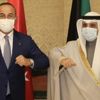 Dışişleri Bakanı Çavuşoğlu, Kuveytli mevkidaşı ile görüştü