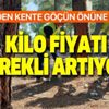 Fiyatı her geçen gün artıyor! Köyden şehre göçün önüne geçti! Her 20 günde bir tekrarlanarak... Fiyatı her geçen gün artıyor! Köyden şehre göçün önüne geçti! Her 20 günde bir tekrarlanarak...