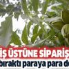 Yıllarca yaptığı mühendisliği bıraktı parayı böyle buldu! Yurt dışından gelen talebe yetişemiyor sipariş üstüne sipariş yağıyor! Yıllarca yaptığı mühendisliği bıraktı parayı böyle buldu! Yurt dışından gelen talebe yetişemiyor sipariş üstüne sipariş yağıyor!