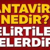 Hantavirüs nedir, hanta virüsü belirtileri ve tedavisi nasıl? (Çin'de yeni virüs ortaya çıktı)