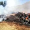 Besicinin umudu otlar yangında kül oldu Besicinin umudu otlar yangında kül oldu