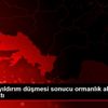 Muğla da yıldırım düşmesi sonucu ormanlık alanda yangın ...