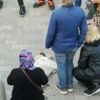Hastane önünde bayılan köpeğe yardıma koştular