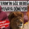 Menajeri önerdi görüşmeler başladı: Galatasaray'da yeniden Lemina dönemi Menajeri önerdi görüşmeler başladı: Galatasaray'da yeniden Lemina dönemi