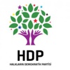 HDP'li Başkan Tutuklandı! HDP'li Başkan Tutuklandı!