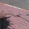 Silivri'de otomobil tamponundaki yılanı itfaiye çıkardı