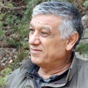 Bayık: Silahla çözülmez Bayık: Silahla çözülmez