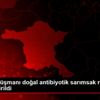 Covid in düşmanı doğal antibiyotik sarımsak reçel ... Covid in düşmanı doğal antibiyotik sarımsak reçel ...