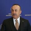 Dışişleri Bakanı Mevlüt Çavuşoğlu: Yurt dışındaki vatandaşlarımızı ülkemize getireceğiz Dışişleri Bakanı Mevlüt Çavuşoğlu: Yurt dışındaki vatandaşlarımızı ülkemize getireceğiz