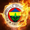 Fenerbahçe'de sürpriz karar! Meireles ile yollar ayrılıyor Fenerbahçe'de sürpriz karar! Meireles ile yollar ayrılıyor