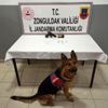 Zonguldak ta uyuşturucu ticaretine 1 gözaltı Zonguldak ta uyuşturucu ticaretine 1 gözaltı