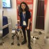 Görme engelliler için robot köpek Görme engelliler için robot köpek