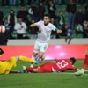 Timsah çok kızardı