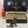 ﻿Narkotik köpeği Bozo kilolarca eroin ele geçirdi