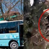Halk otobüsü odun toplayan kız kardeşleri ezdi Halk otobüsü odun toplayan kız kardeşleri ezdi
