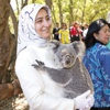 Koala Parkı gezisi