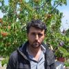 Manisa'da kiraz bereketi Manisa'da kiraz bereketi