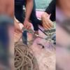 MİT'in kariyer sayfası yenilendi