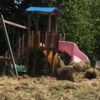 Köyde park var, oynayacak çocuk yok Köyde park var, oynayacak çocuk yok