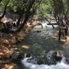 Sıcaktan bunalan vatandaşlar parklarda serinliyor Sıcaktan bunalan vatandaşlar parklarda serinliyor