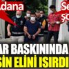 ﻿Adana'da kumar baskınında polisin elini ısırdı. Sebebi şok etti