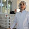 Kestane şekeri bağışıklığı güçlendiriyor Kestane şekeri bağışıklığı güçlendiriyor
