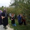 24 çiftçiye budama ve gübreleme eğitimi verildi 24 çiftçiye budama ve gübreleme eğitimi verildi