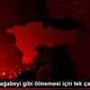 Samet in ağabeyi gibi ölmemesi için tek çare organ ... Samet in ağabeyi gibi ölmemesi için tek çare organ ...
