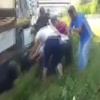 TEM Otoyolu'nda polis gözetiminde vahşet TEM Otoyolu'nda polis gözetiminde vahşet
