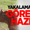 Ujfalusi: Galatasaray Birinci Olabilir Ujfalusi: Galatasaray Birinci Olabilir