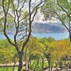 Emrigan Korusu'na komşu araziye otel yapılacakmış! Emrigan Korusu'na komşu araziye otel yapılacakmış!
