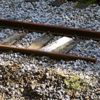 Kongo'da yük treni raydan çıktı: 24 ölü, 31 yaralı