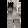 İngilizler bisikleti yeniden keşfetti İngilizler bisikleti yeniden keşfetti