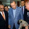 Erdoğan'a sürpriz hediye Erdoğan'a sürpriz hediye