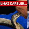 Suriye sınırından ateş açıldı