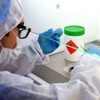 Ebola'da Tehlikeli Gelişme Ebola'da Tehlikeli Gelişme