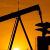 Irak petrol fiyatını 55 dolara çekti Irak petrol fiyatını 55 dolara çekti