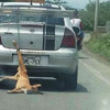 Böyle vicdansızlık olamaz Böyle vicdansızlık olamaz