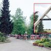 Trabzonlunun 'park' zaferi!