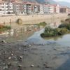 Yeşilırmak'ta korkutan balık ölümleri Yeşilırmak'ta korkutan balık ölümleri