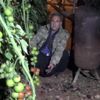 Çiftçiler "zirai don" uyarısına karşı seralarda nöbet ...